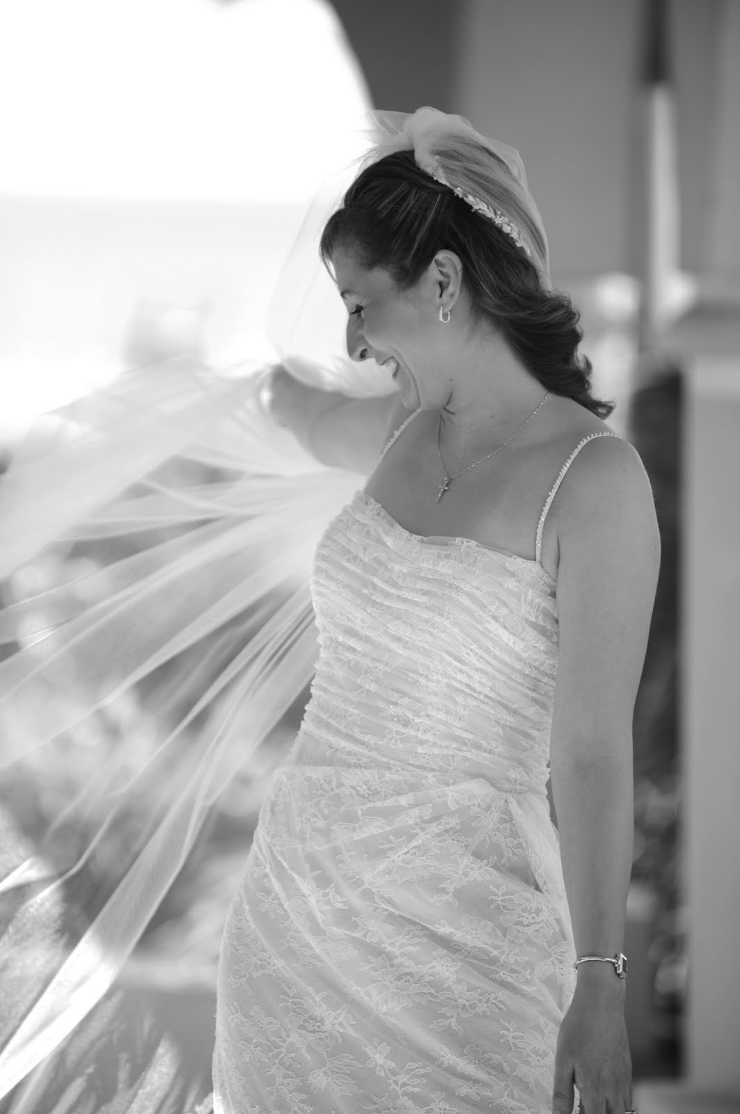 [DSC_9784c.jpg]