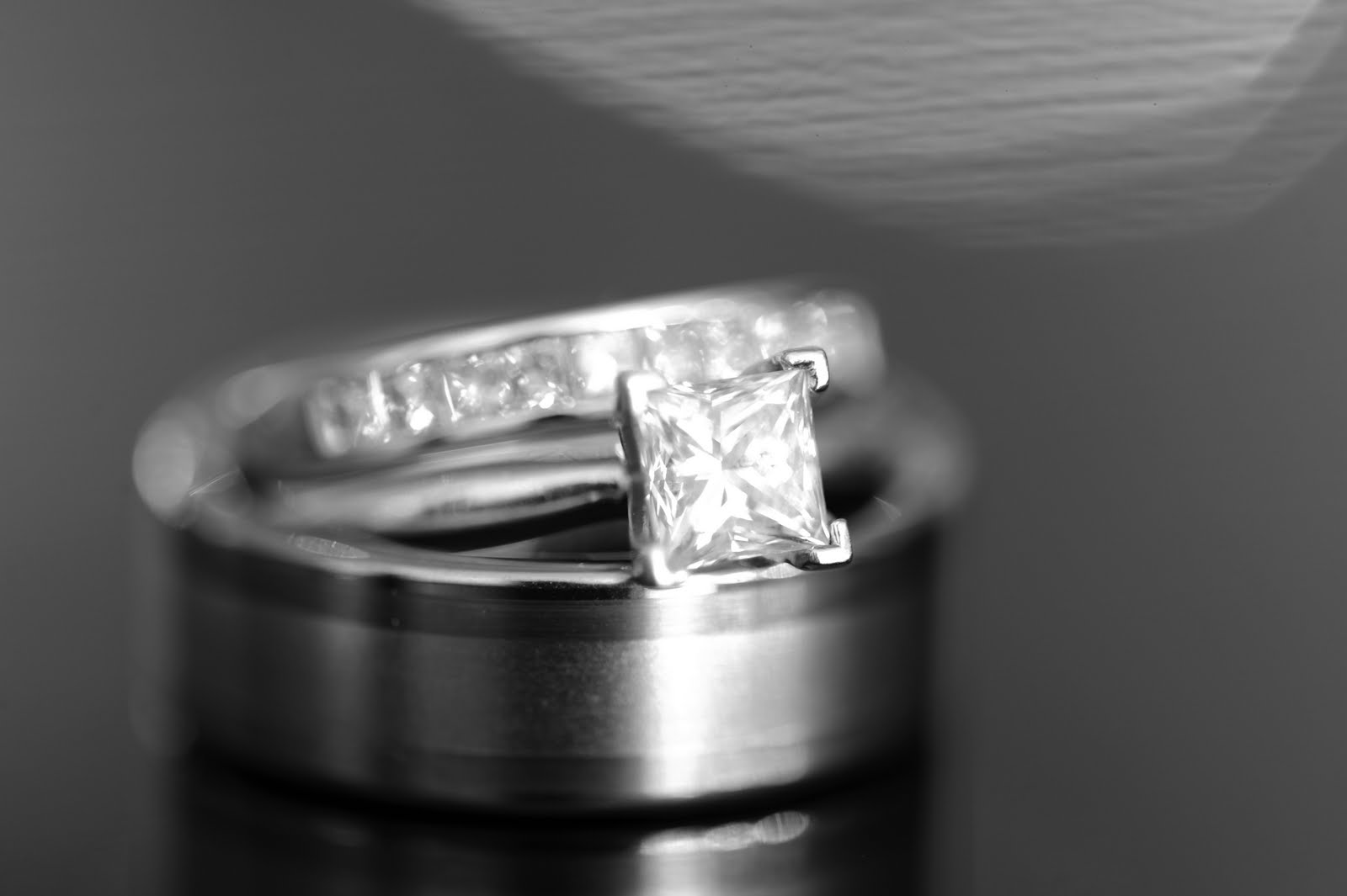 [DSC_9850b.jpg]