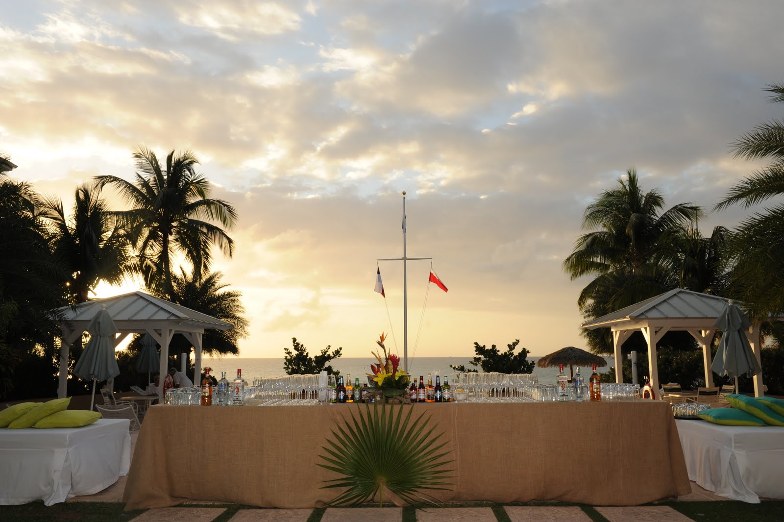 [DSC_6237.JPG]