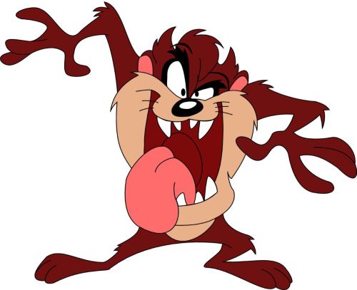 tazmania tazmania