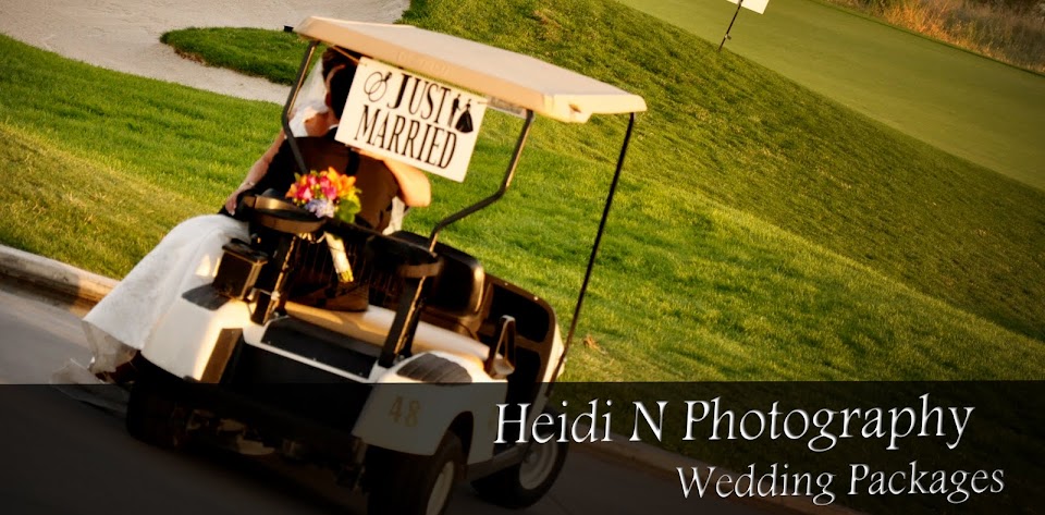 Heidi N Photography Weddings