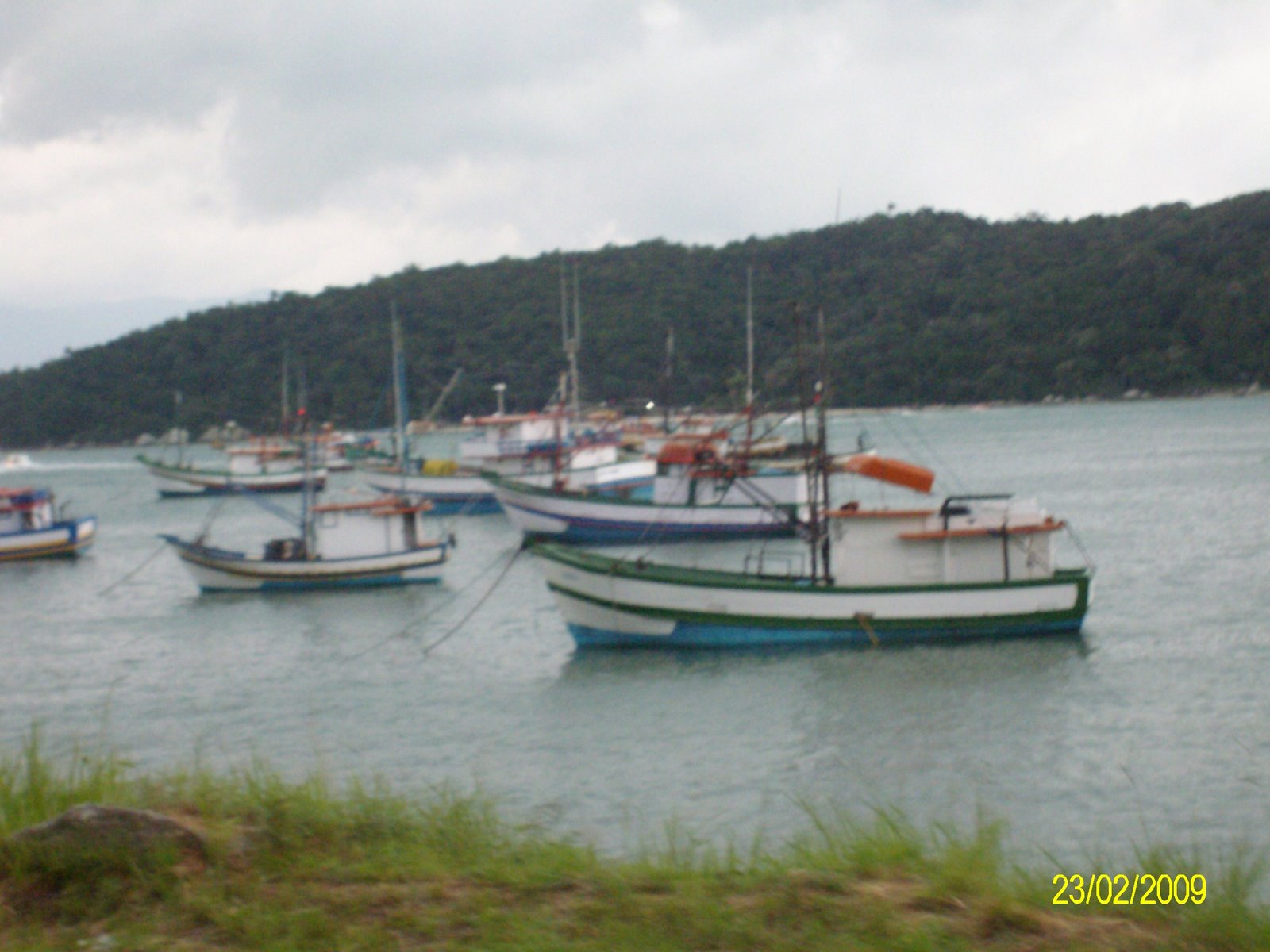 [SANY0977.JPG]