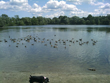 Turners Pond, Milton (MA)