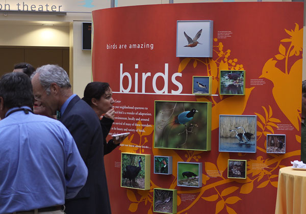 [birds-poster-BINNS-IMG_3891-copy.jpg]