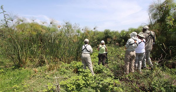 [Dunga-Paprus-Swamp-BINNS-IMG_1761-copy.jpg]