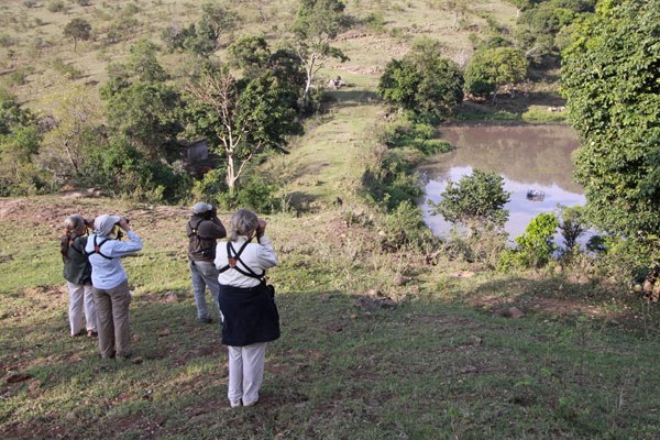 [mara-west-BINNS-IMG_1797-copy.jpg]