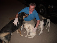 Peluson, Paloma y el Niño