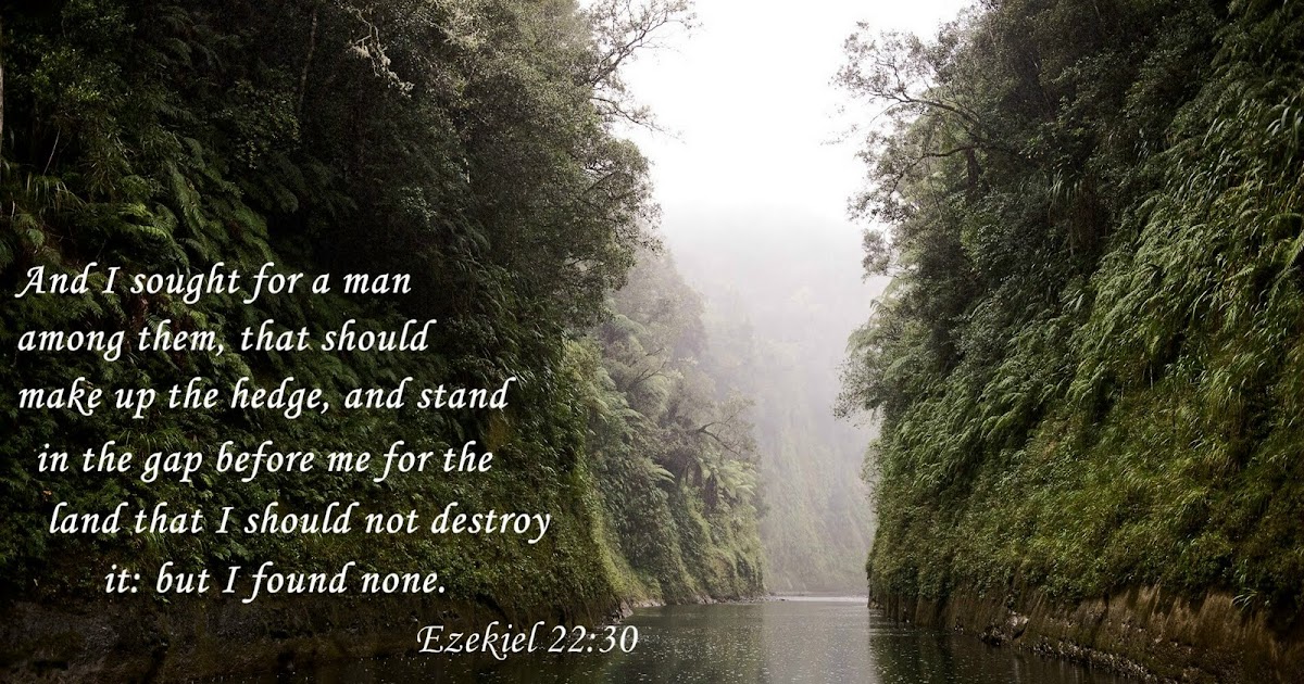 More Than Poetry: STANDING IN THE GAP