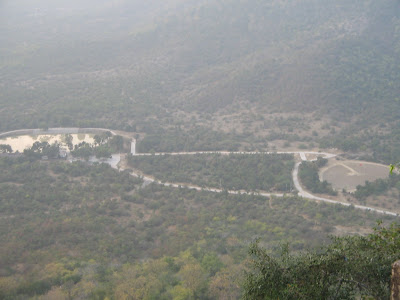 Alha Udal