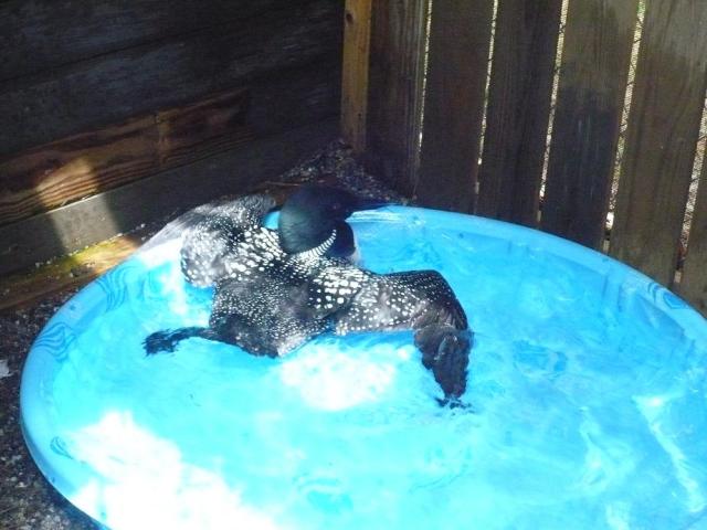 [P1010583[1]web.JPG]