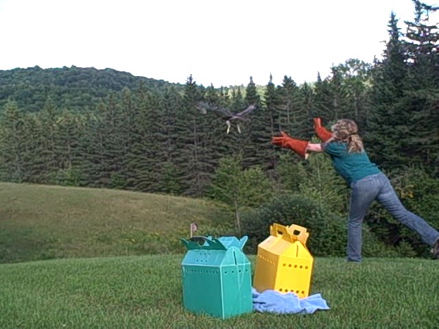 [Aug+10+09+RTHA+release.jpg]