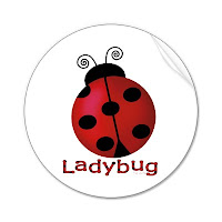 joaninha - ladybug