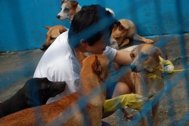[SPCADogs.bmp]
