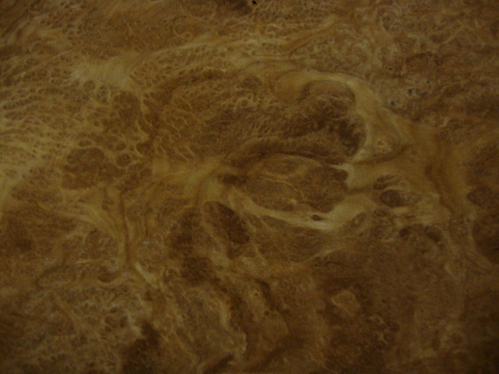 burr walnut veneer