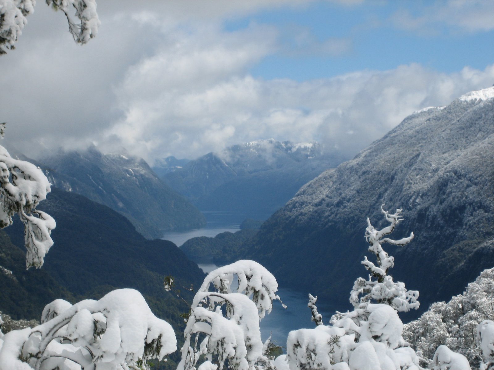 [snowover+doubtful.JPG]