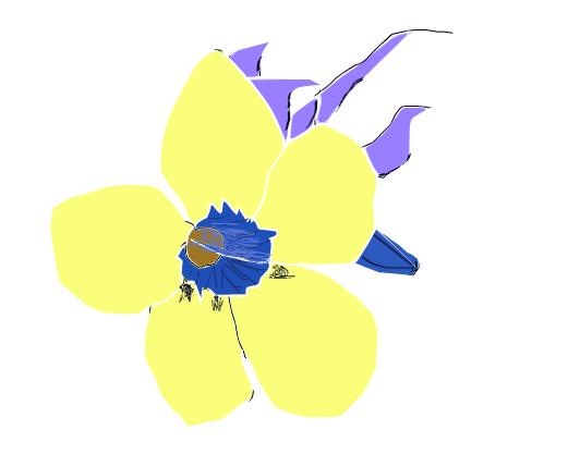 [floramarillanegativo.JPG]