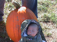 Lily and the pumpkin
