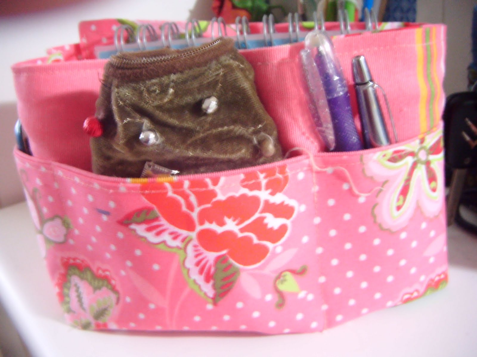 [2010_0109nieveorganizadorcami0011.JPG]