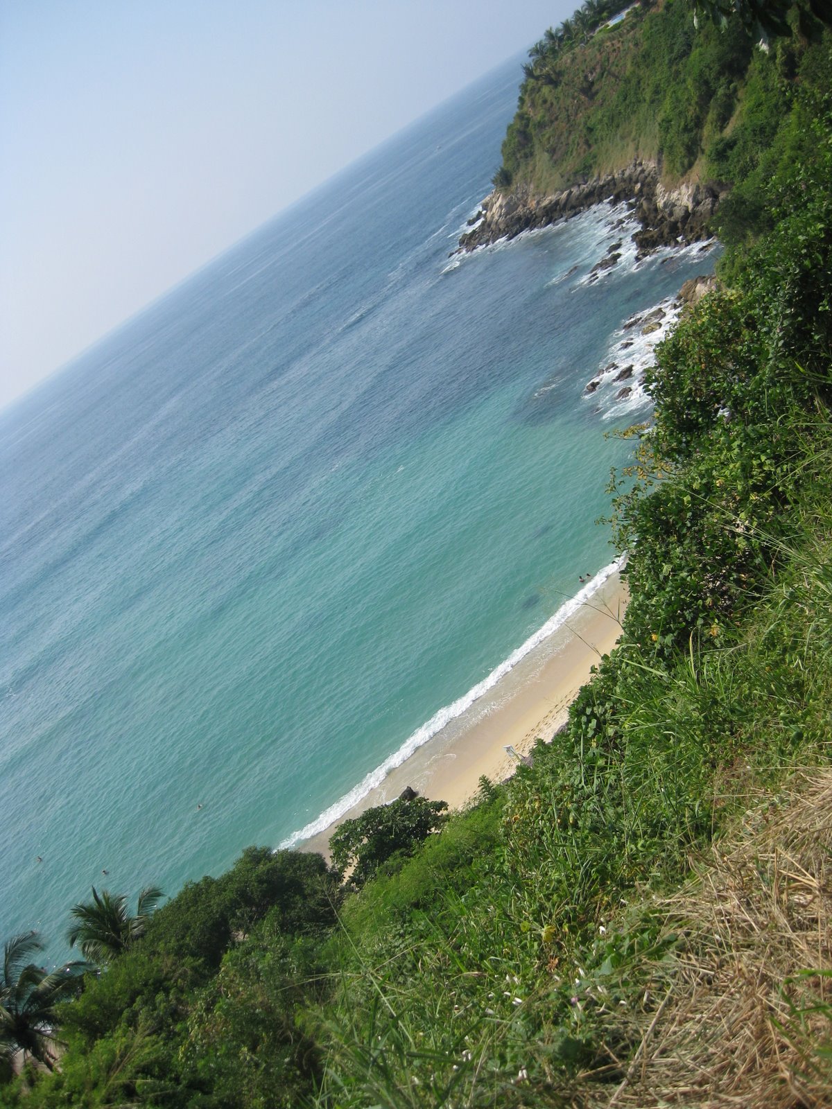 [IMG_0798.JPG]