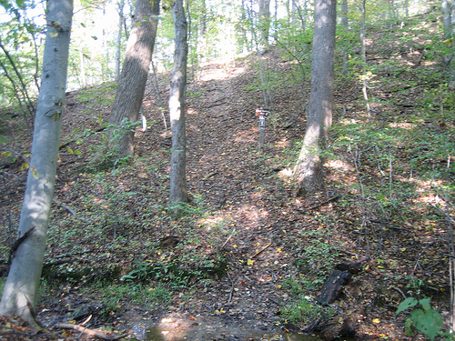 [53239563_e7e2ab37b4.jpg]