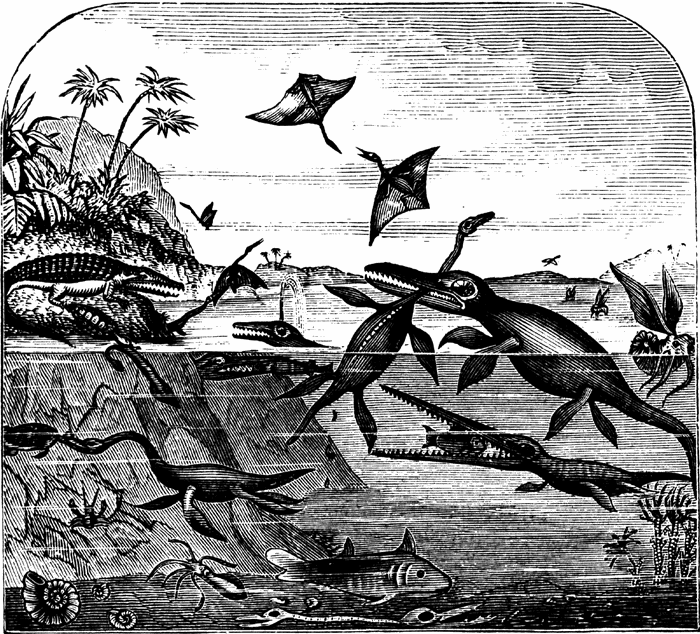 [reptiles_30627_lg.gif]