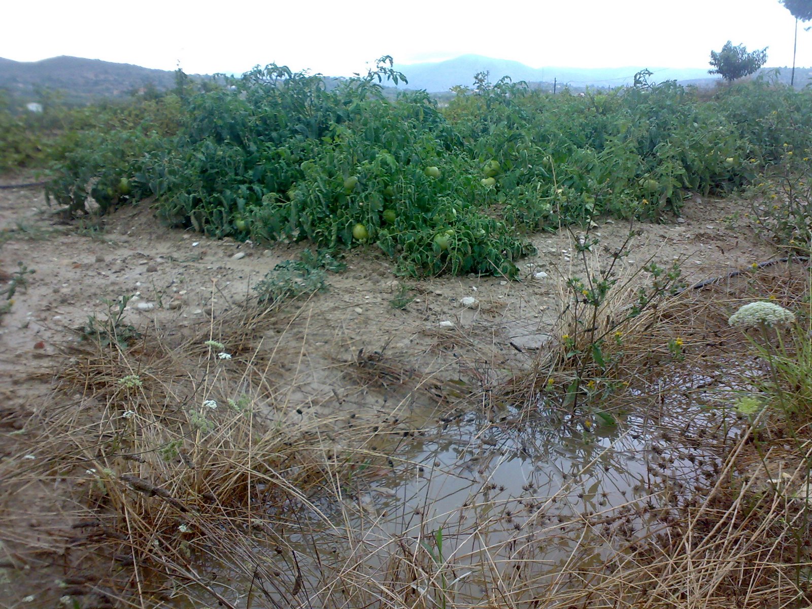 [09072009128.jpg]