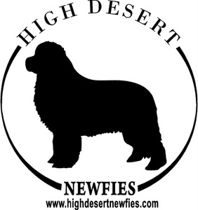 HDNewfies