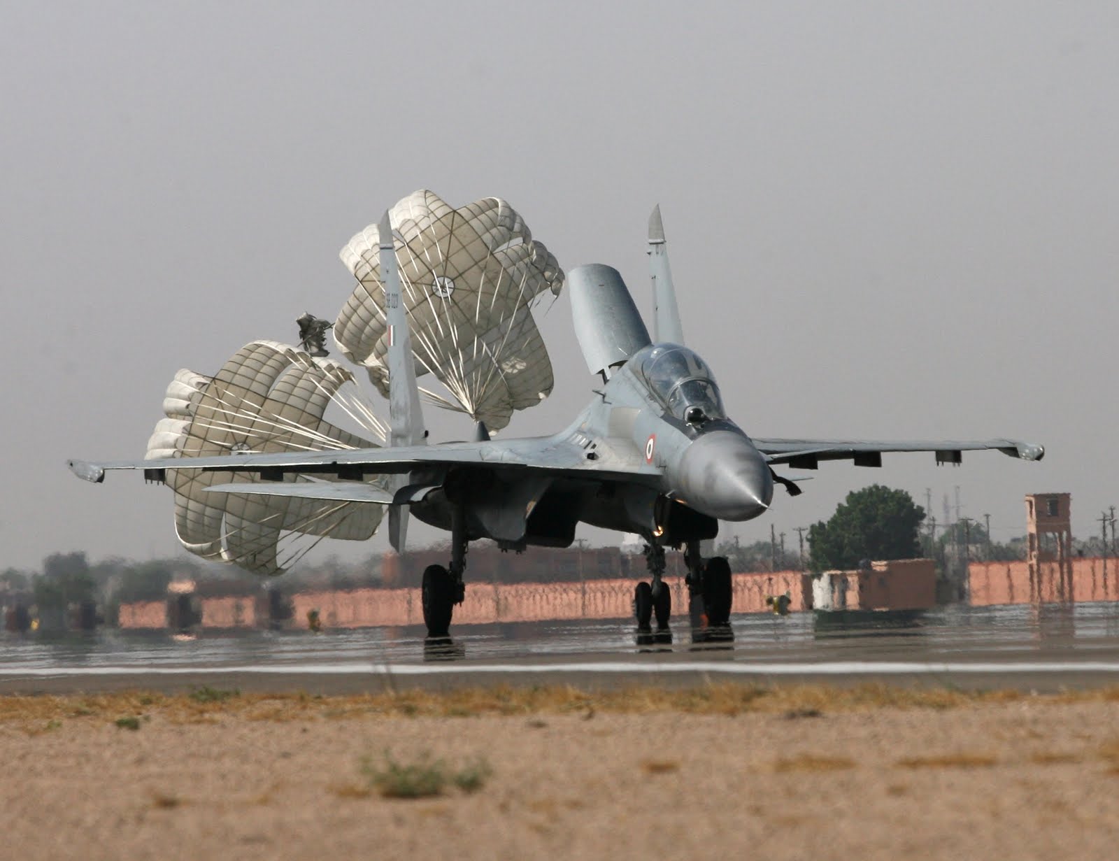 [IMG_8520-709321.JPG]