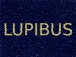 Canale Youtube di Lupibus