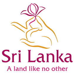 An essay about tourism in sri lanka