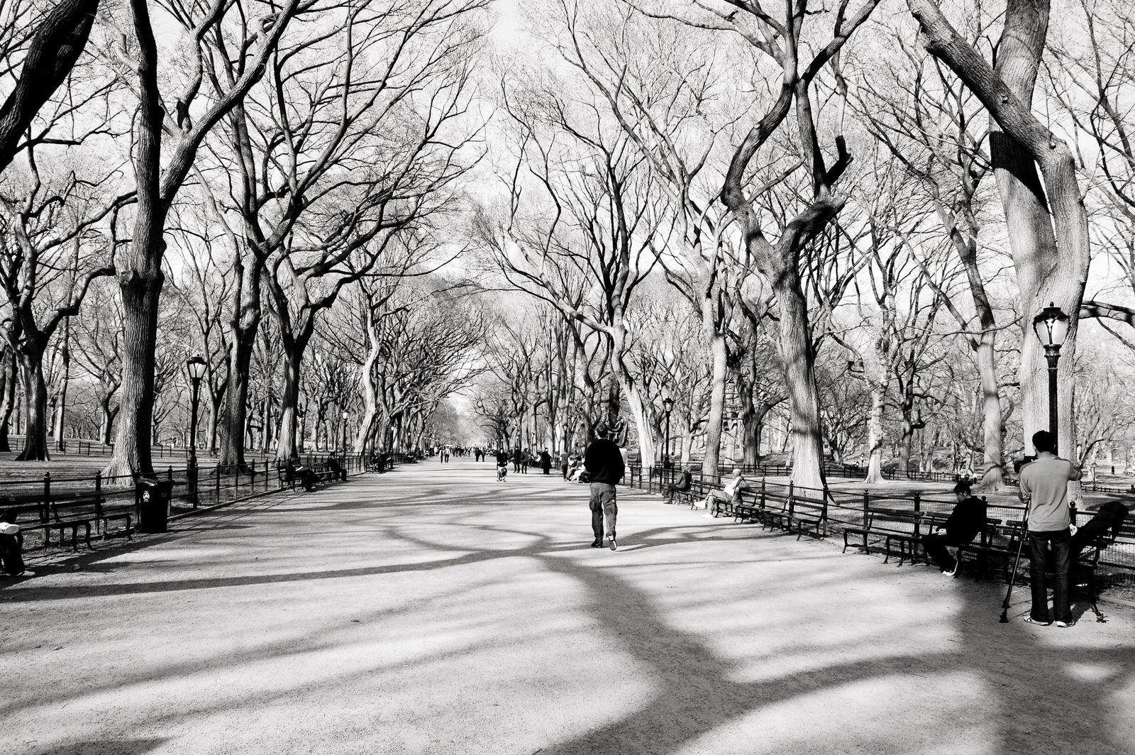 [DSC_0101+bw.jpg]