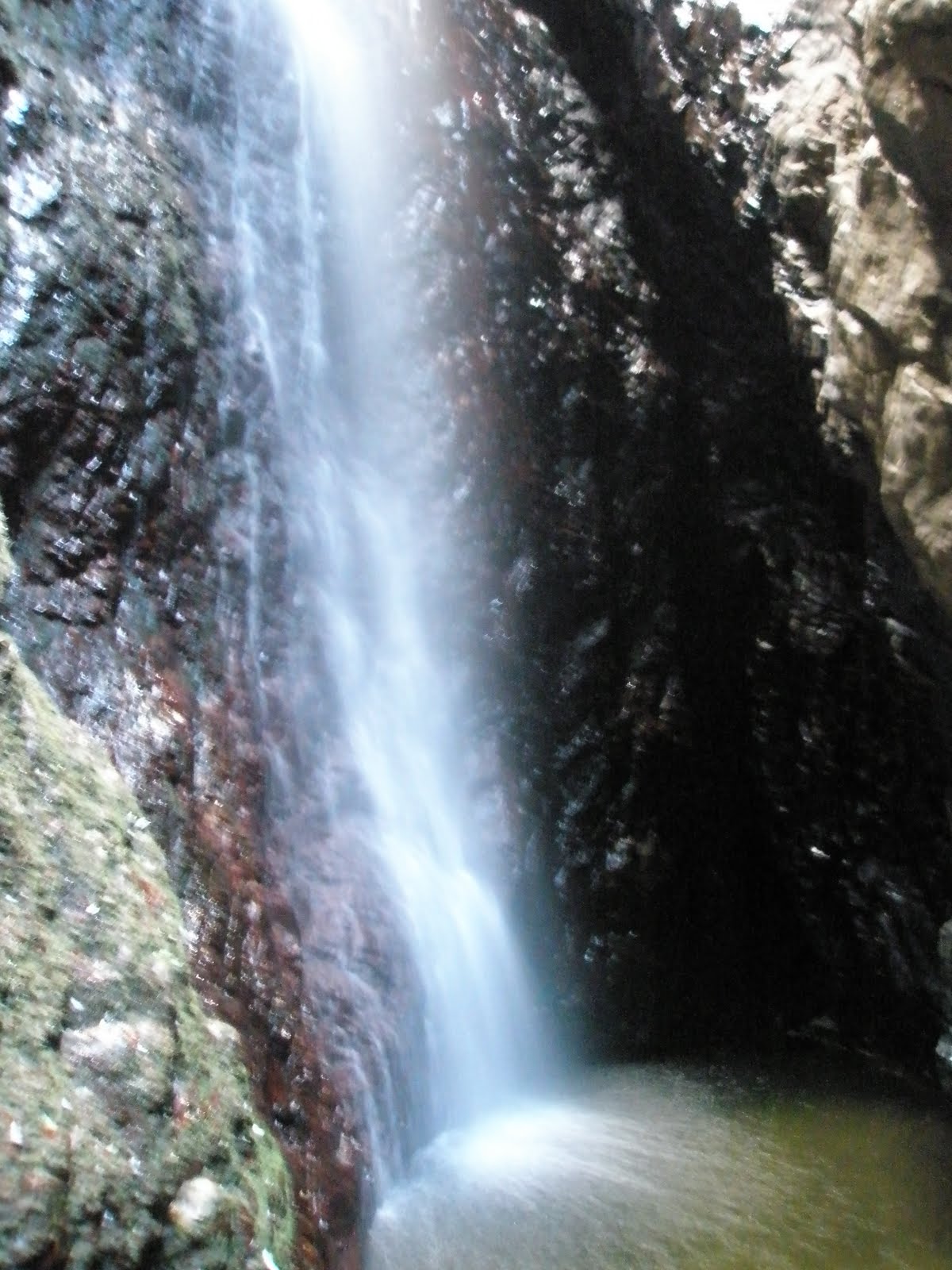 [P8190021.JPG]