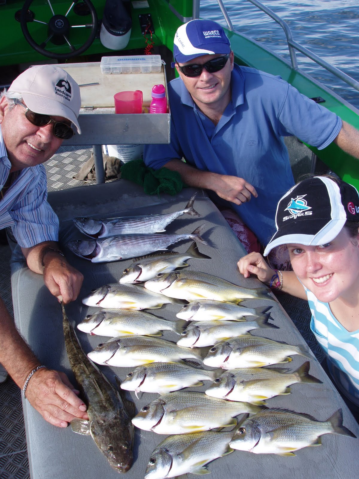Scotty Fishing Life Sydney fishing report