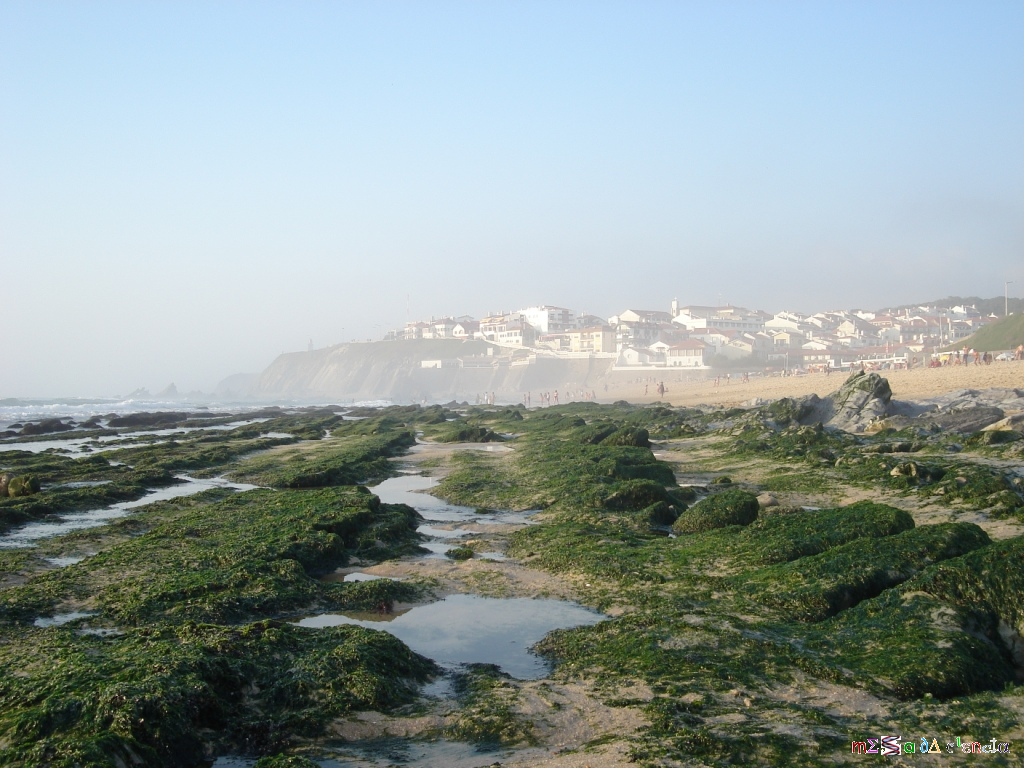 [DSC02563.JPG]