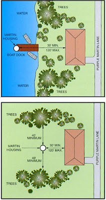 purple martin house location purple martin house location