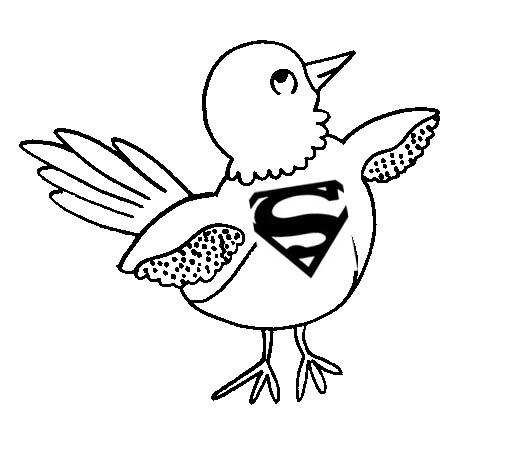 [superbird.jpg]