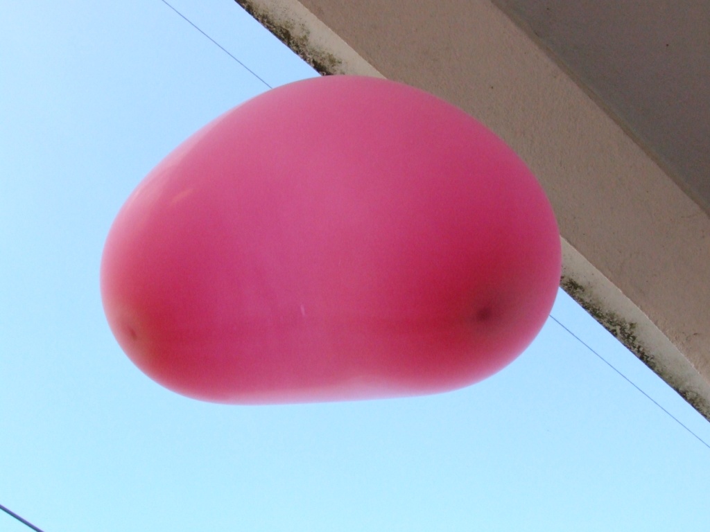 [DSCF0079.JPG]