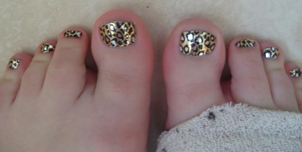 Zebra Print Everything