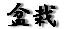 L'ideogramma "Bonsai"