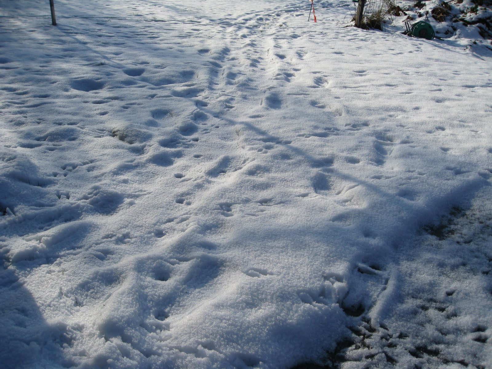 [IMG_2040.JPG]