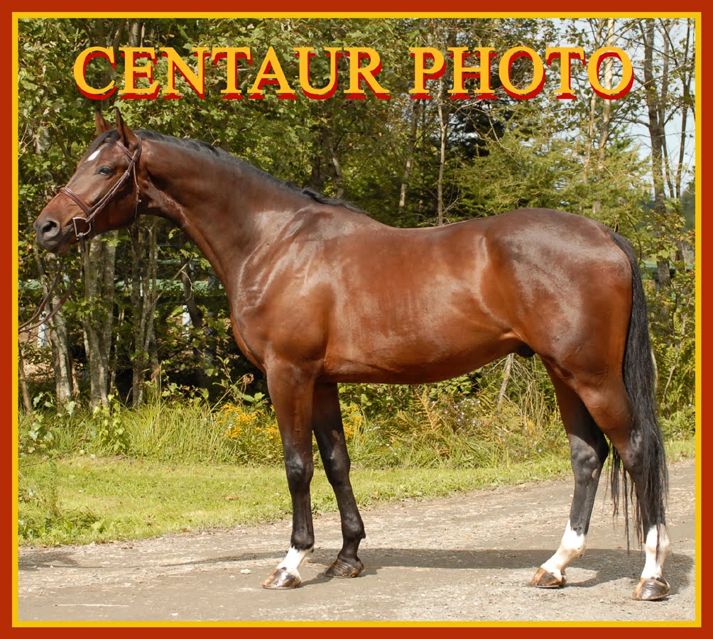 Gucci - 2009 Governor General's Cup Winner