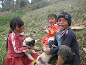 Niños de Pucara-Ancash