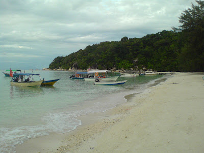 Fauna Perhentian