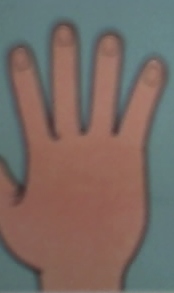 [Hand.jpeg]