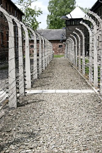 World+war+z+film+wiki