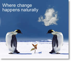 image: where change happens naturally