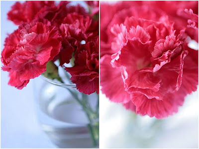 Flowers-Copyright©Tartelette 2008