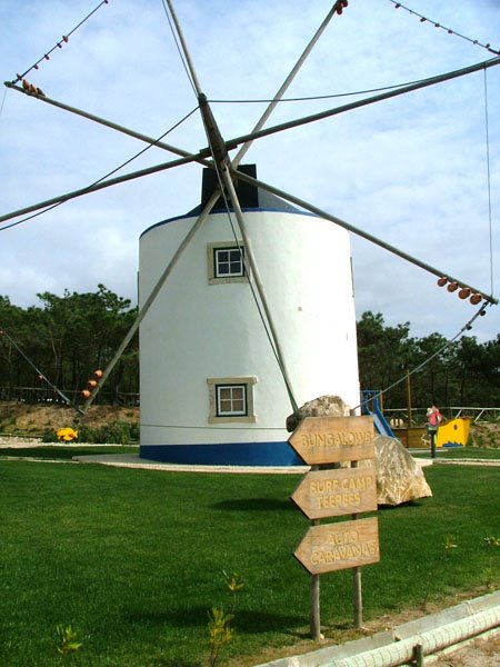 [DSCF6229.jpg]