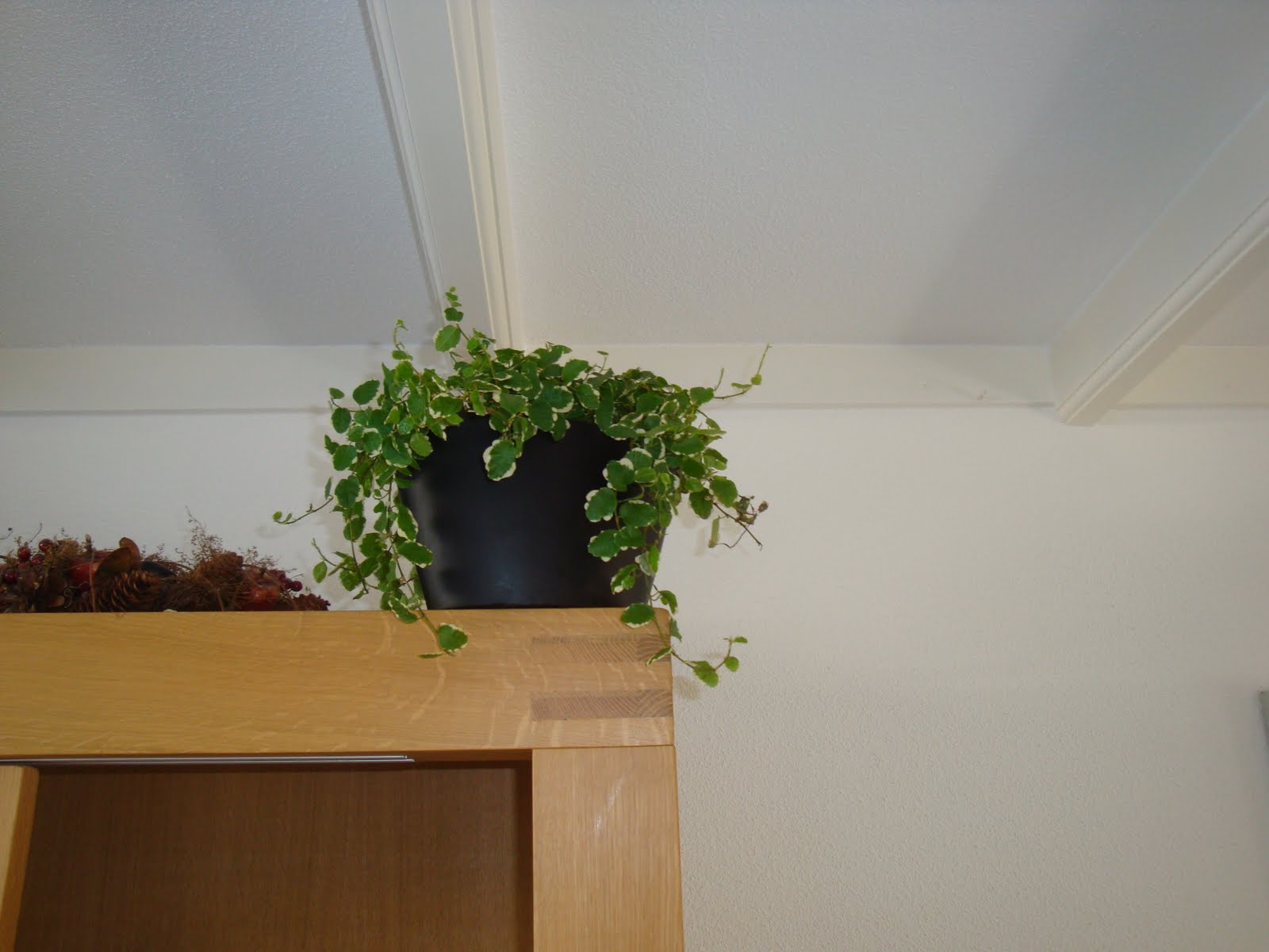 [DSC04583.JPG]