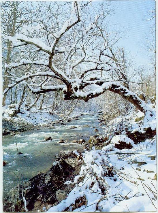 [zahra++++زهرا.jpg]